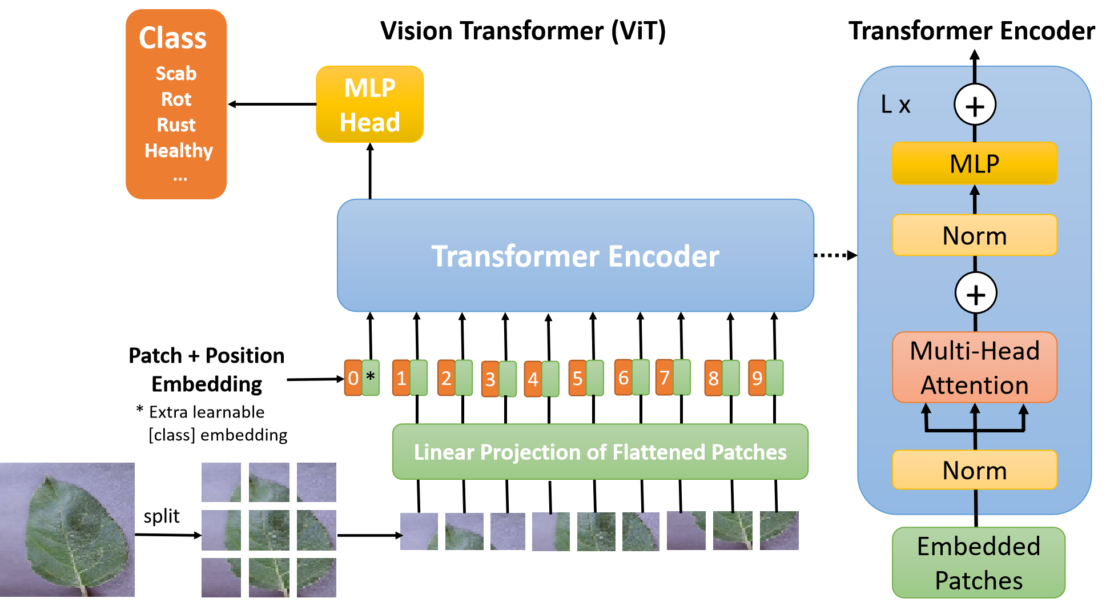 ViT-architecture