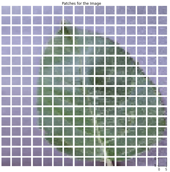 sample_patches